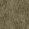 Chinese White Pine Bark (5150) - Image 4