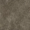 Chinese White Pine Bark (5151) - Image 4