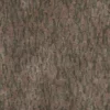 Chinese White Pine Bark (5152) - Image 4