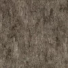 Chinese White Pine Bark (5153) - Image 4