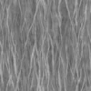Flame Tree Bark (5169) - Image 6