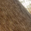 Flame Tree Bark (5170) - Image 2