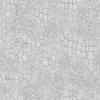 Flame Tree Bark (5172) - Image 3