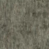 Ginkgo Tree Bark (5154) - Image 4