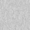 Ginkgo Tree Bark (5155) - Image 3