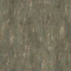 Ginkgo Tree Bark (5155) - Image 4