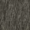 Ginkgo Tree Bark (5156) - Image 4