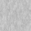 Ginkgo Tree Bark (5158) - Image 3