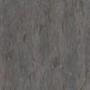 Ginkgo Tree Bark (5158) - Image 4