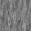 Ginkgo Tree Bark (5158) - Image 6