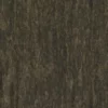 Jackfruit Tree Bark (5175) - Image 4