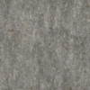 Japanese Fantail Willow Bark (5145) - Image 4