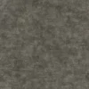 Japanese Mock Orange Bark (5161) - Image 4
