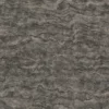 Japanese Mock Orange Bark (5164) - Image 4