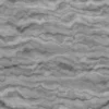 Japanese Mock Orange Bark (5164) - Image 6