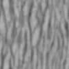 Japanese Red Pine Bark (5142) - Image 6
