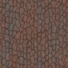 Japanese Red Pine Bark (5140) - Image 4