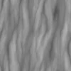 Japanese Yew Bark (5168) - Image 6