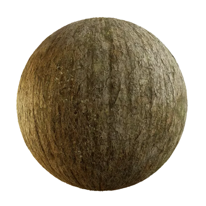 Korean Spruce Bark With Moss (5135)