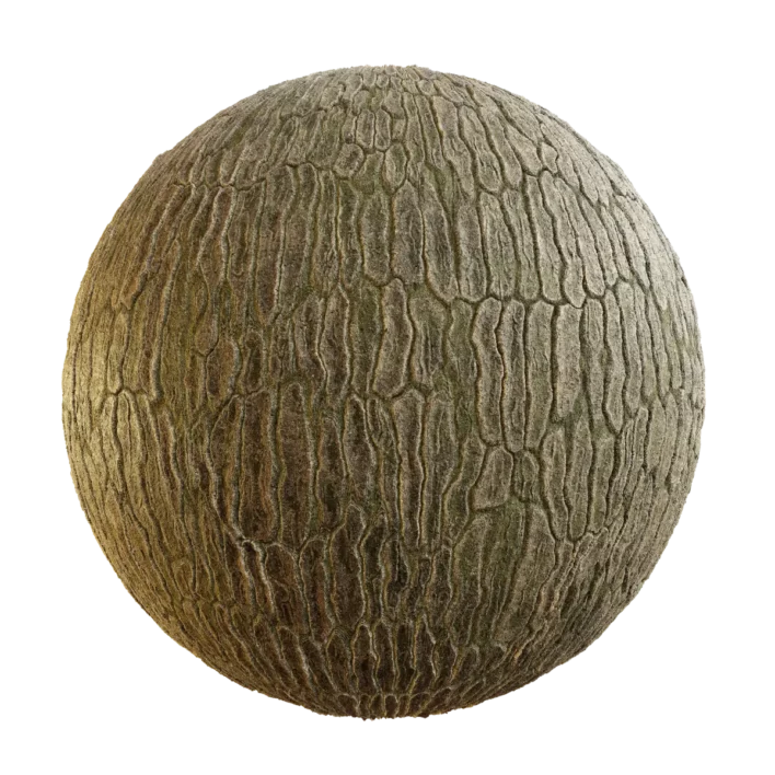 Korean Spruce Bark With Moss (5137)