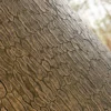 Korean Spruce Bark With Moss (5137) - Image 2