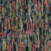 Rainbow Eucalyptus (5183) - Image 4