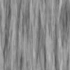 Rainbow Eucalyptus (5184) - Image 6