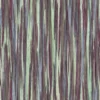 Rainbow Eucalyptus (5185) - Image 4