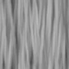 Rainbow Eucalyptus (5185) - Image 6
