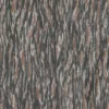 Dawn Redwood Bark (51100) - Image 4