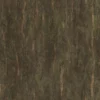 Dawn Redwood Bark (5198) - Image 4