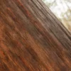 Dawn Redwood Bark (5199) - Image 2