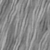 Wisteria Bark (5192) - Image 6