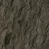 Wisteria Bark (5195) - Image 4