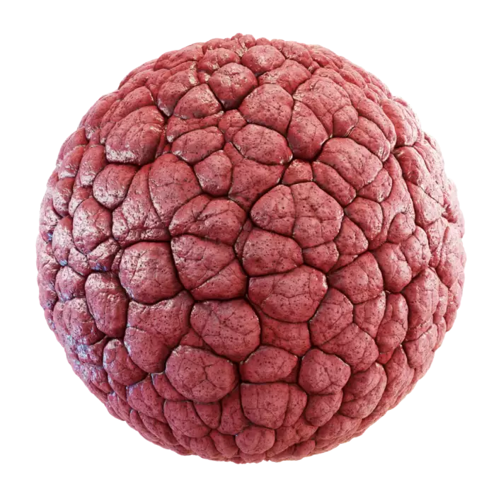 Brain Guts (5825)