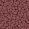 Brain Guts (5825) - Image 4