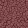 Brain Guts (5825) - Image 5