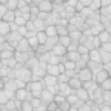 Brain Guts (5825) - Image 6