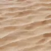 Desert Sand (5832) - Image 2