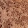 Desert Sand Rock (5852) - Image 2