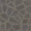 Flagstone with Dry Leaves (5813) - Image 4