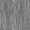 Flame Tree Bark (5169) - Image 6