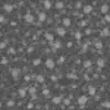 Jungle Root Ground (5838) - Image 7