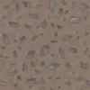 Metal Shards on Sand (5836) - Image 4