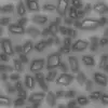 Metal Shards on Sand (5836) - Image 7