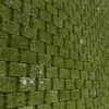 Mossy Cinder Block Wall (5811) - Image 2