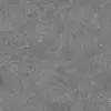 Stone and Copper Runic Floor (5822) - Image 13