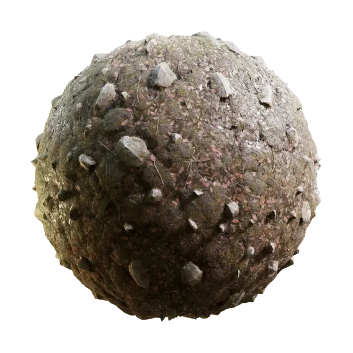 Swamp Ground with Rocks (5860)