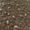 Swamp Ground with Rocks (5860) - Image 2