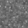 Swamp Ground with Rocks (5860) - Image 6